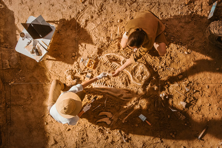 Fossilienfund offenbart intensiven Kampf zwischen Dinosaurier und Säugetier