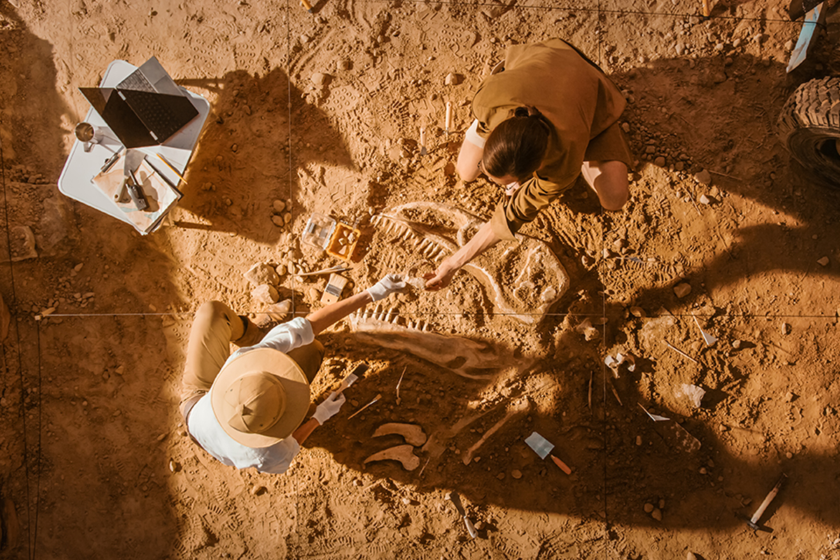 Fossilienfund offenbart intensiven Kampf zwischen Dinosaurier und Säugetier