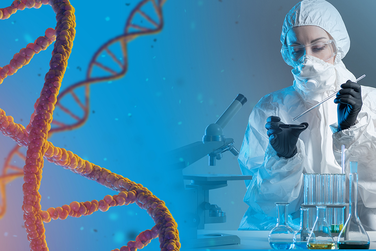 Erste vollständige Sequenzierung des menschlichen Y-Chromosoms durch Wissenschaftler