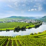mosel-schleusenunfall-legt-schiffsverkehr-monatelang-lahm